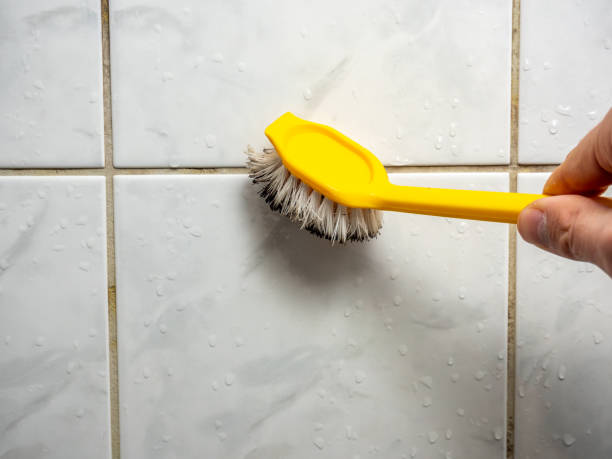 Best Black Mold Remediation in Baraboo, WI