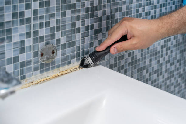Best Kitchen Mold Remediation in Baraboo, WI