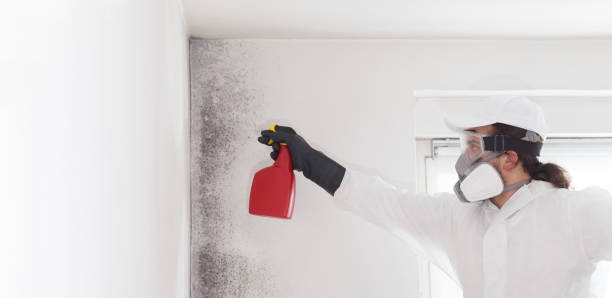 Professional Mold Remediation in Baraboo, WI