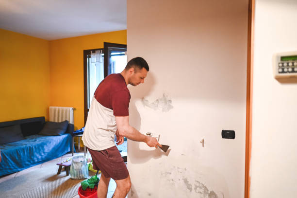 Best Post-Flood Mold Remediation in Baraboo, WI